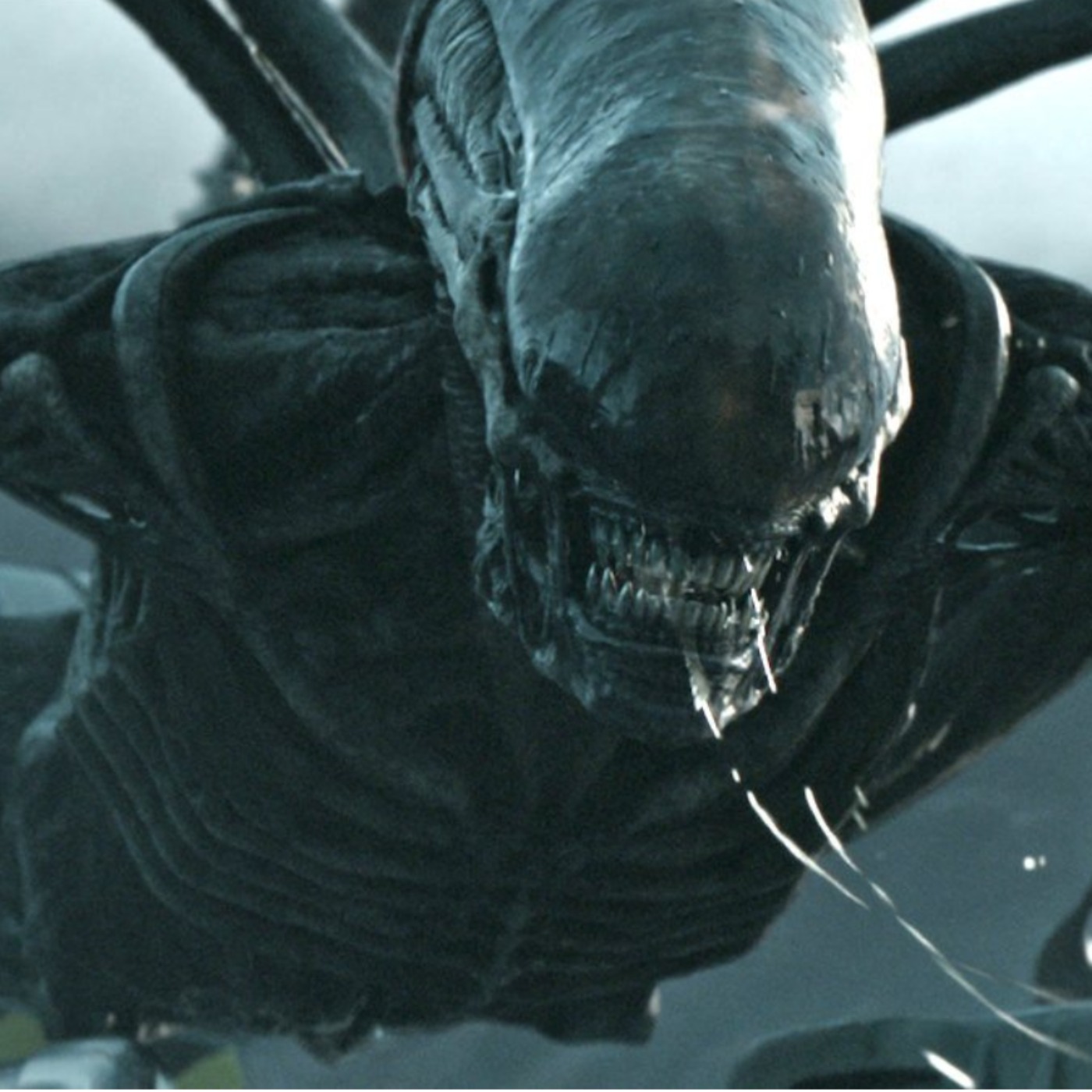 How ALIEN: EARTH Fits Into the ALIEN Franchise Timeline