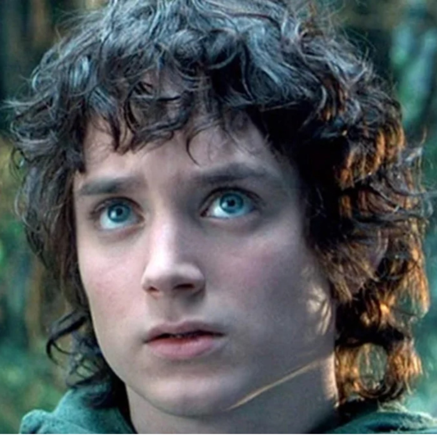 Elijah Wood Crashes Wedding for a Memorable Moment in The Shire