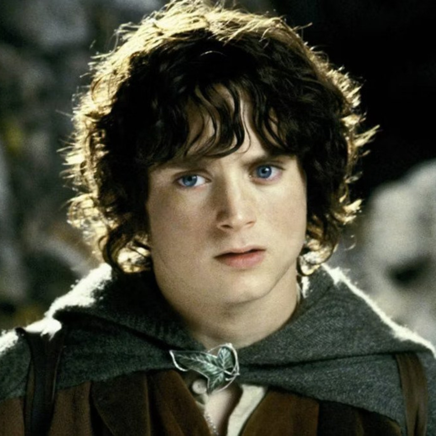 Elijah Wood Doesn’t Want Anyone Else Playing Frodo