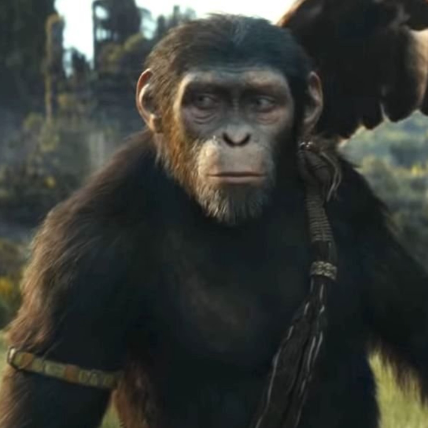 Matt Shakman Directing a New PLANET OF THE APES Film