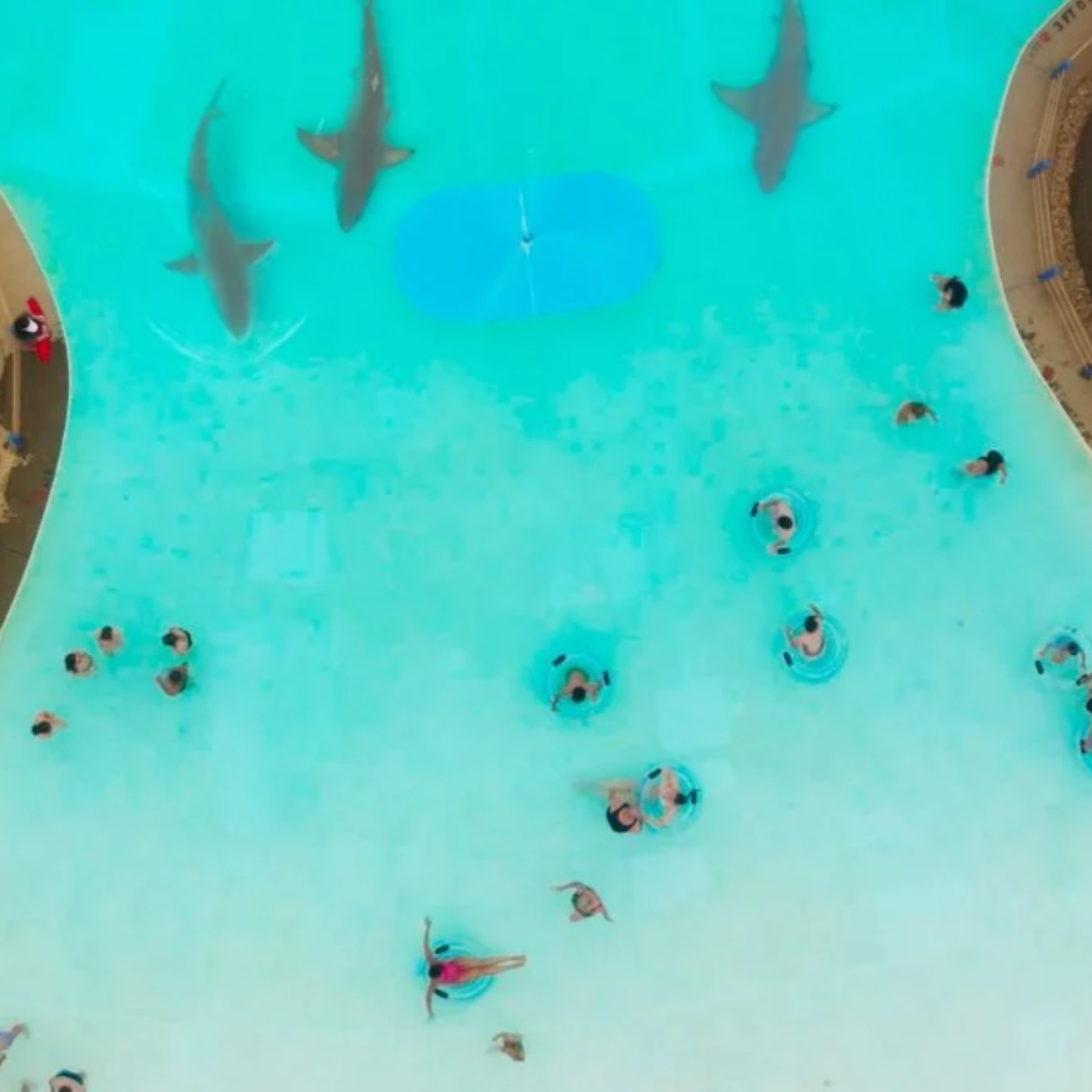 WATER PARK SHARK Brings SHARKNADO Vibes to the Pool episode artwork