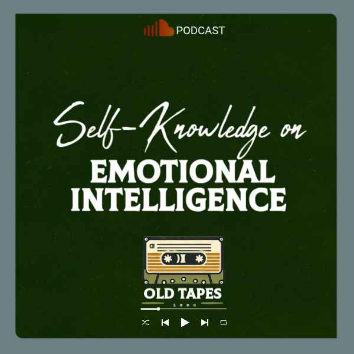 Mastering the Self: Ancient Wisdom on How to manage your emotions. EP 11 episode artwork