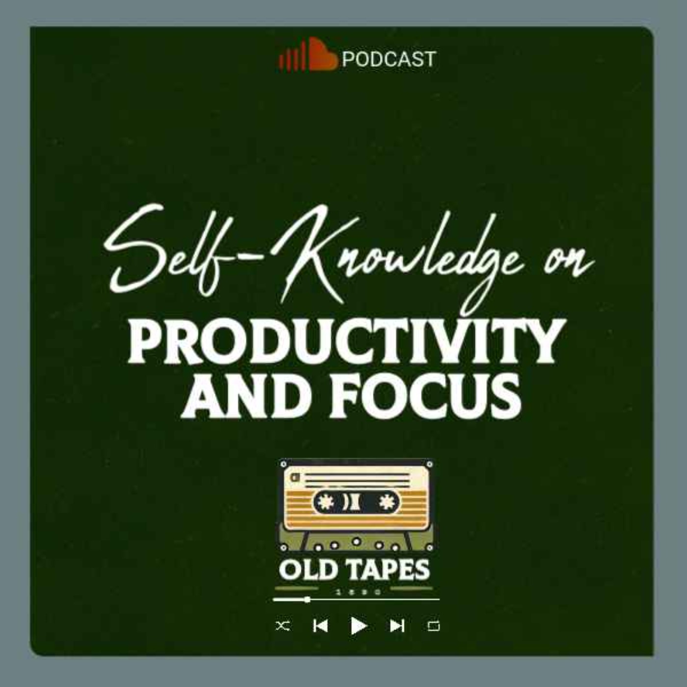 Mastering the Self: Wisdom on how to increase your Productivity and Focus. EP17 episode artwork