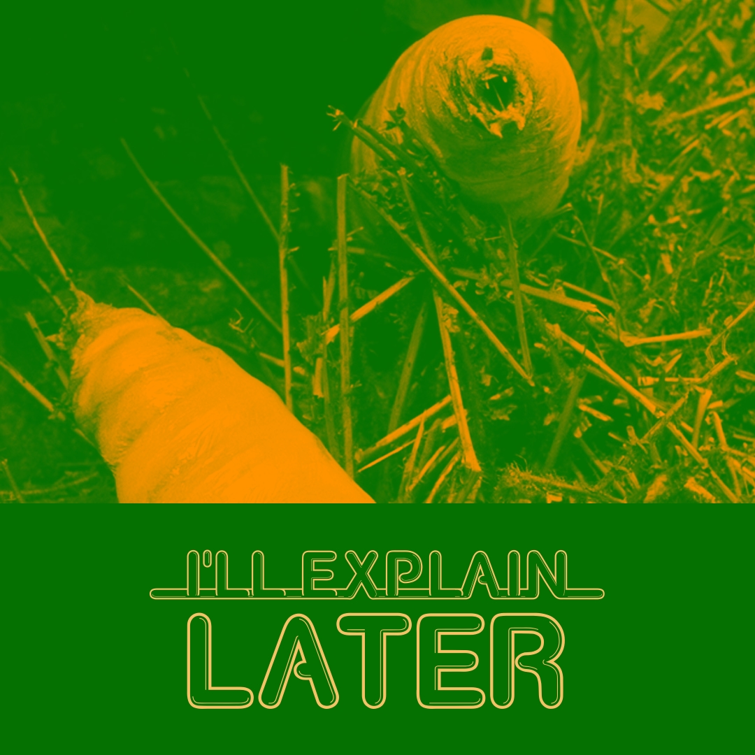 I\'ll Explain Later: conversations about Doctor Who