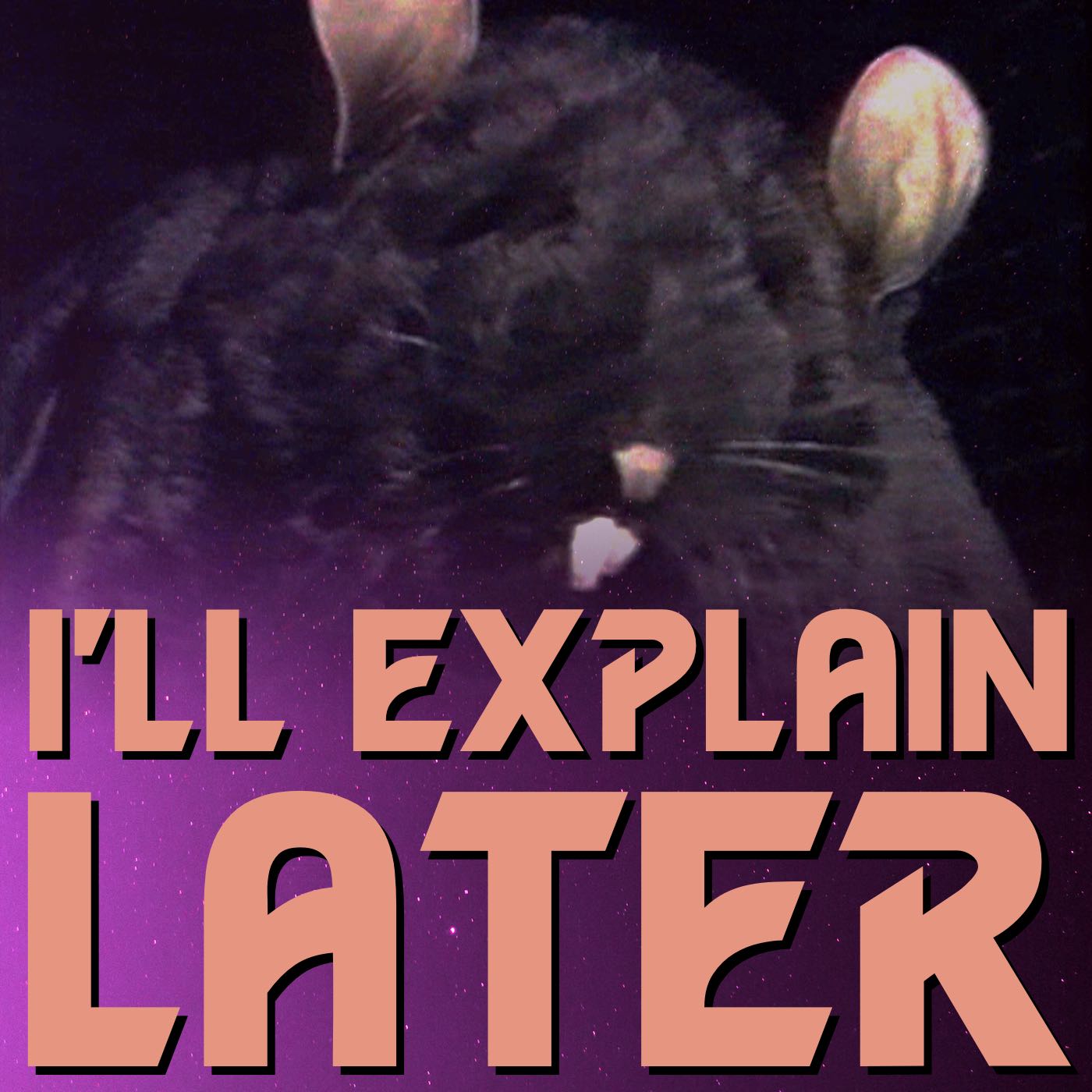I\'ll Explain Later: conversations about Doctor Who