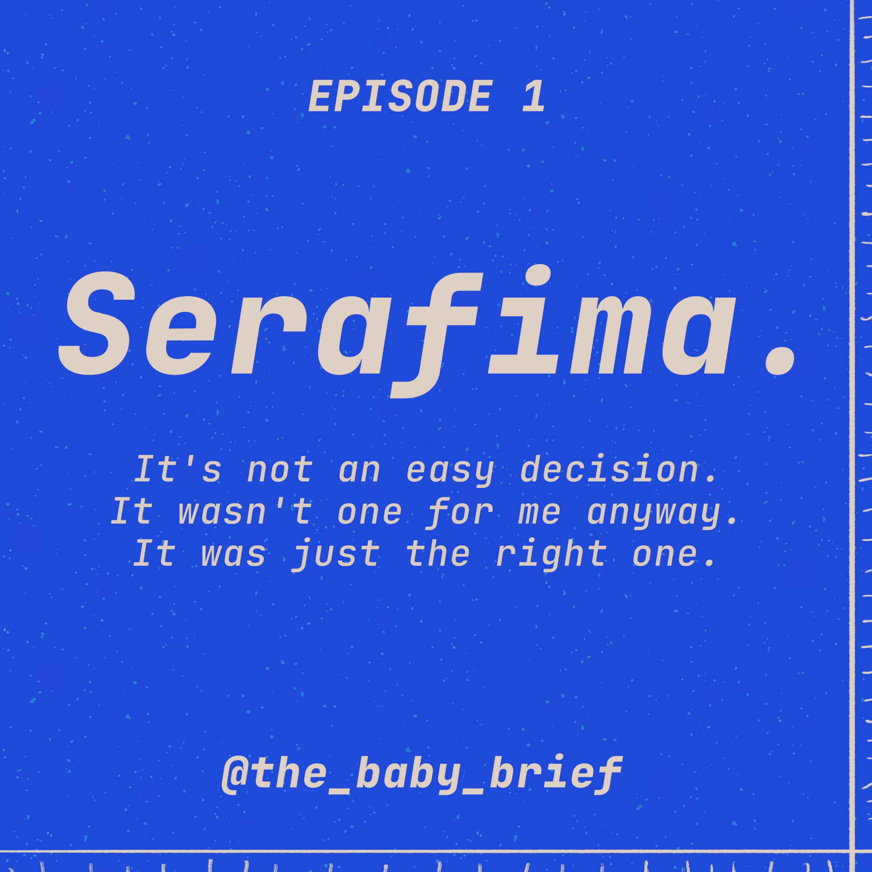 The Baby Brief