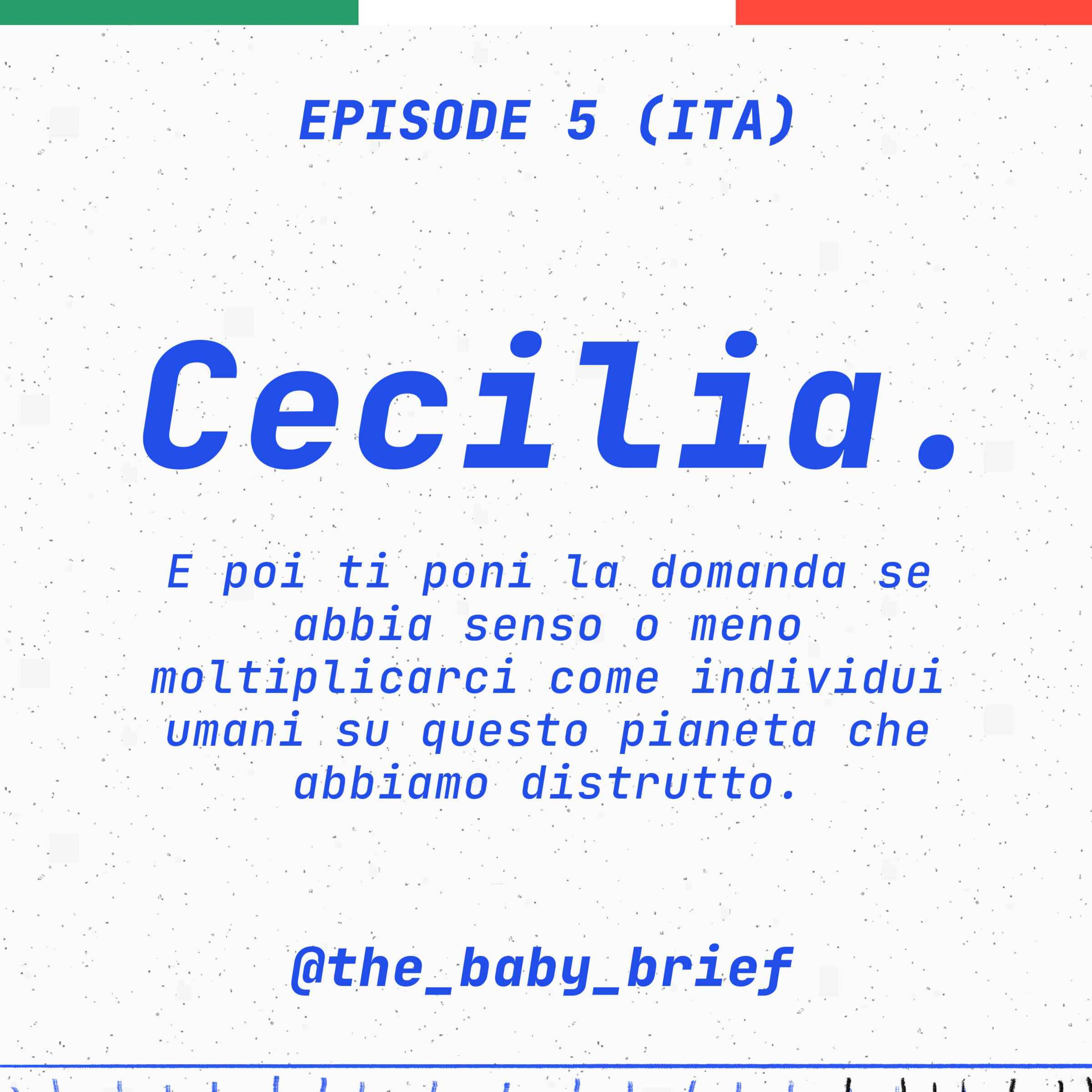 The Baby Brief