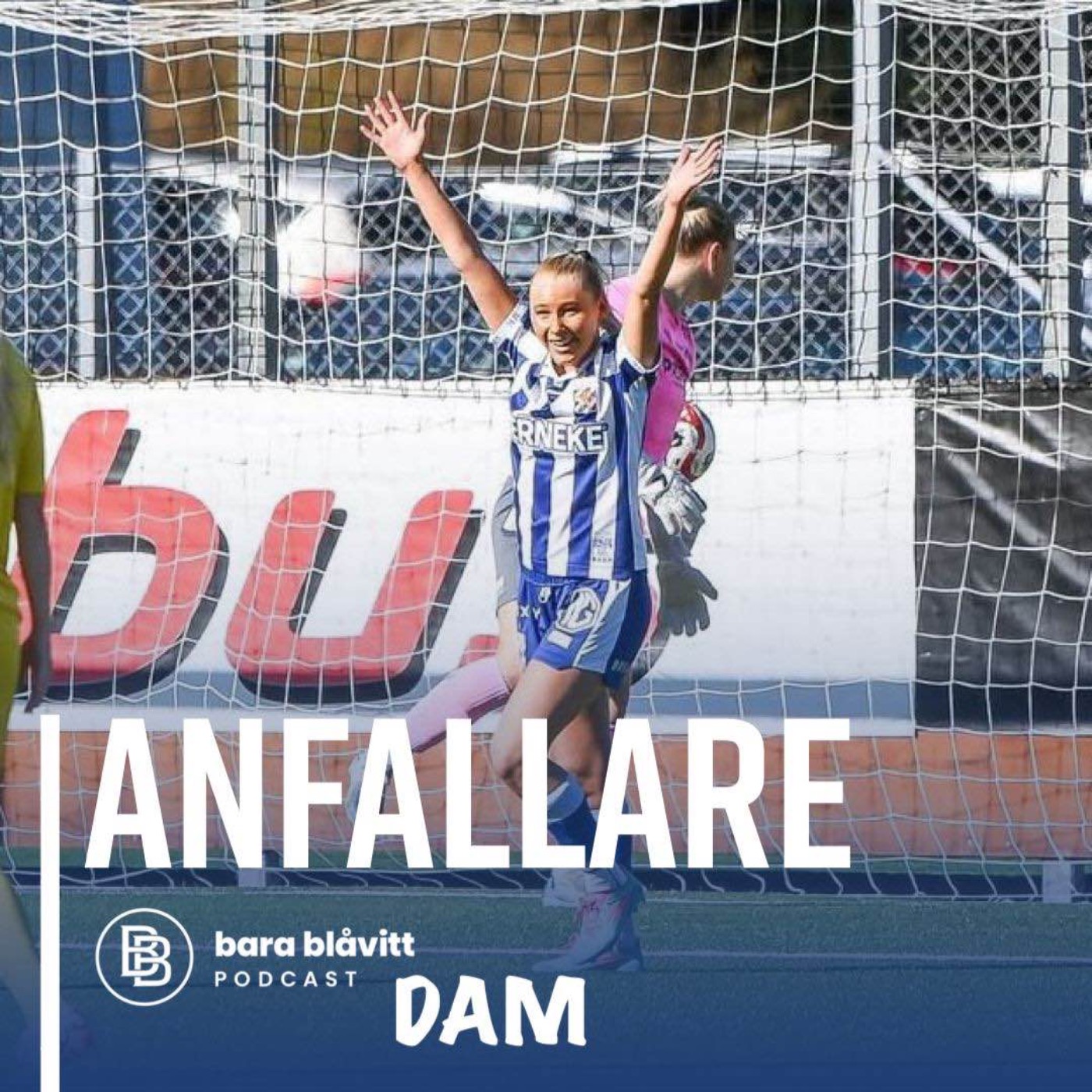 739. DAM Anfallare