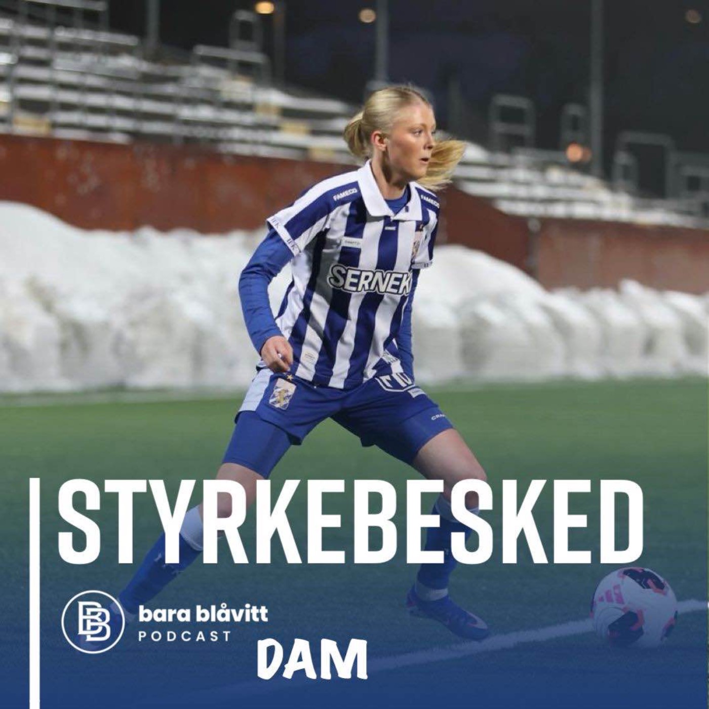 742. DAM Styrkebesked