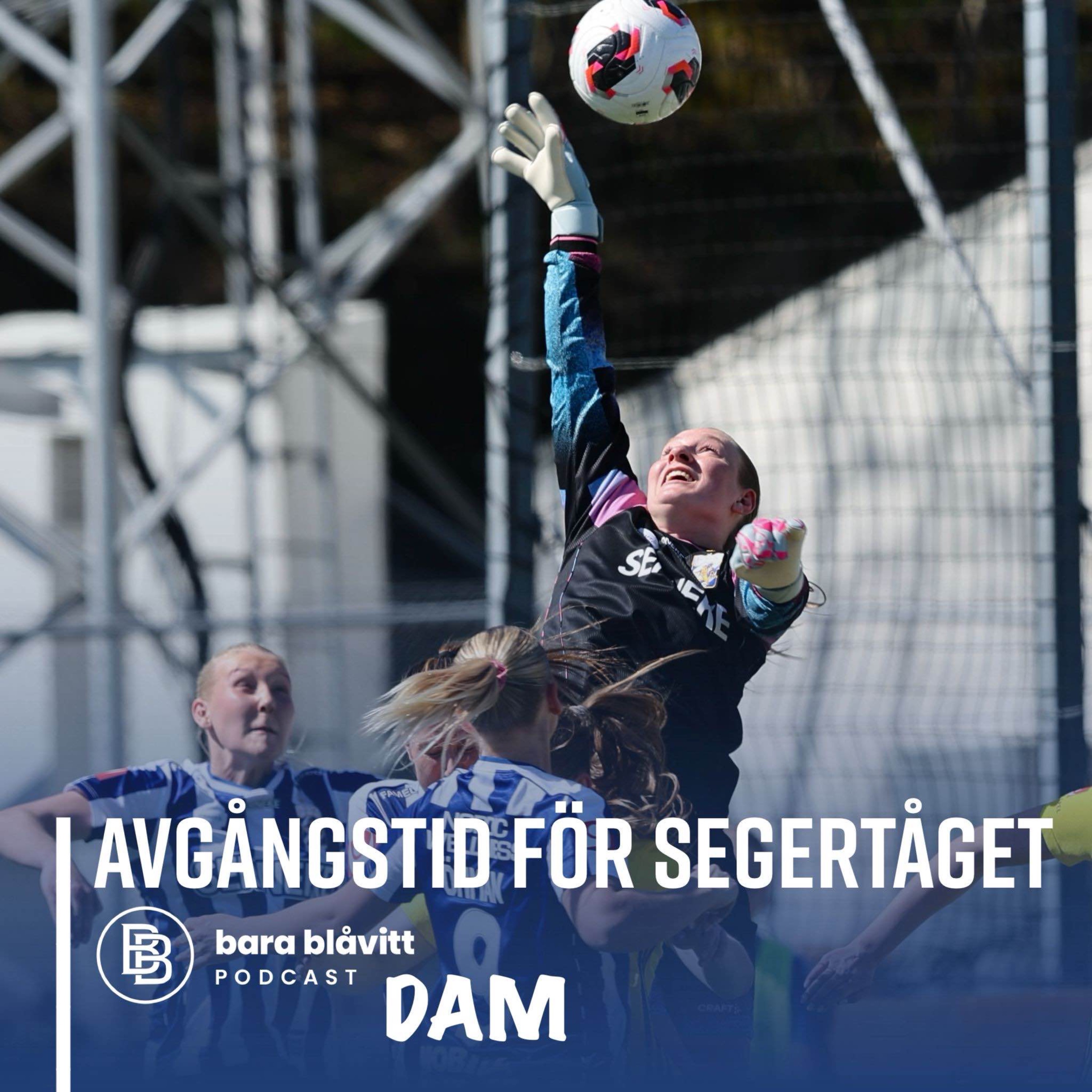 773. DAM Avgångstid för segertåget episode artwork