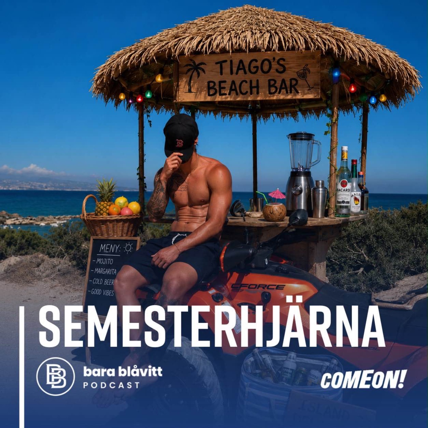 790. Semesterhjärna episode artwork