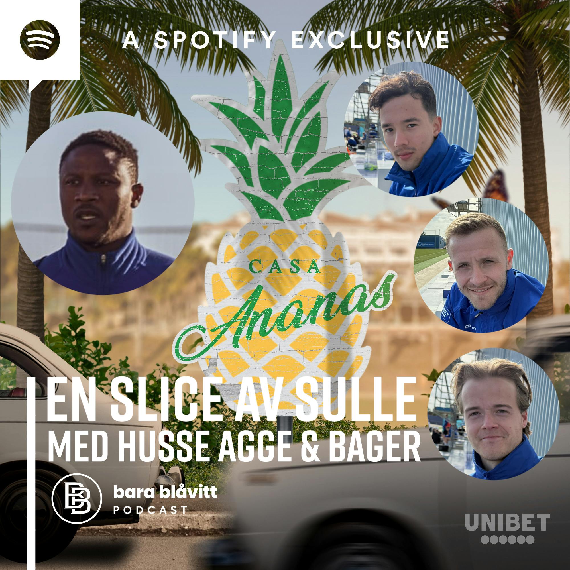 584. Casa Ananas En slice av Sulle, med Husse Agge & Bager