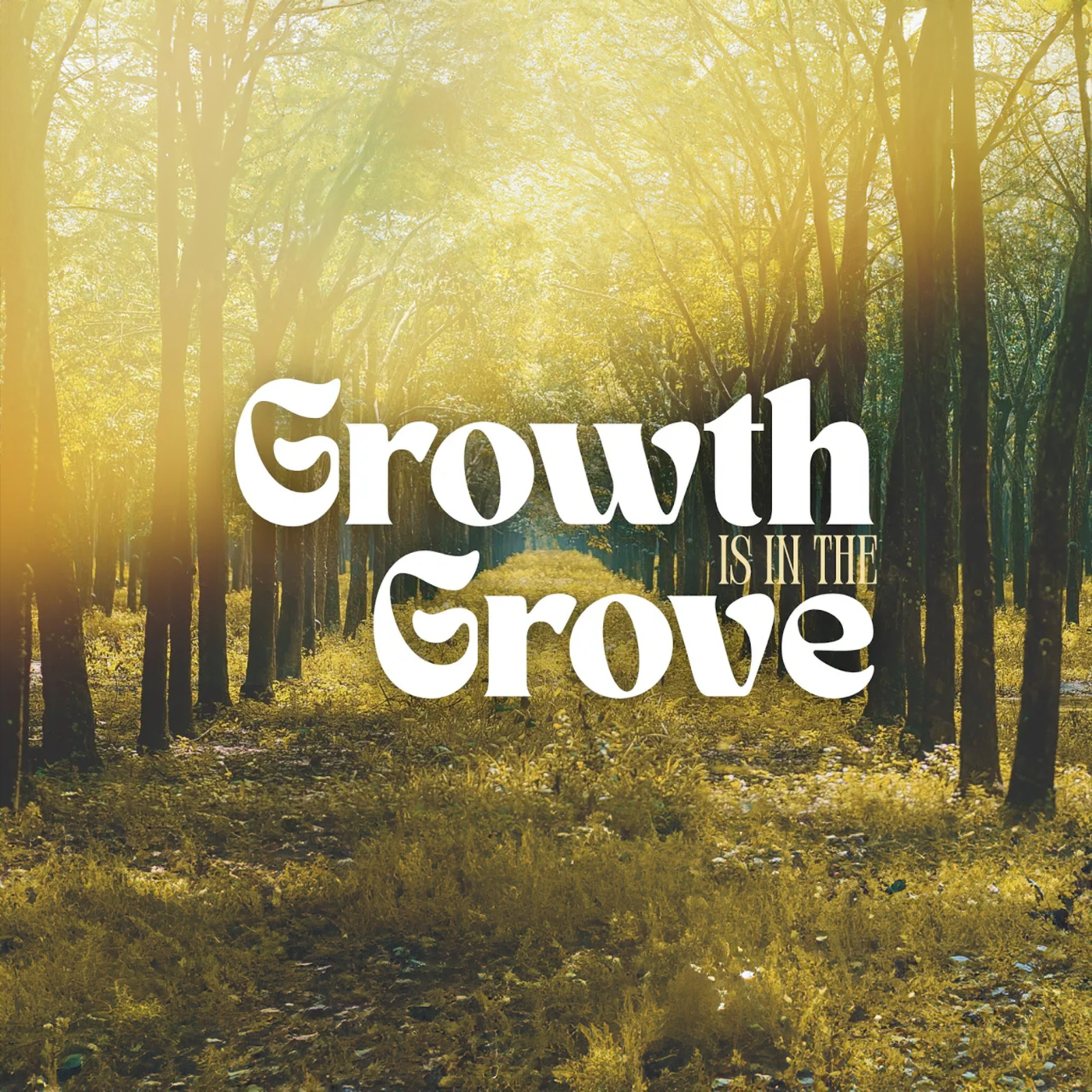 HopeTown Church Sunday Message