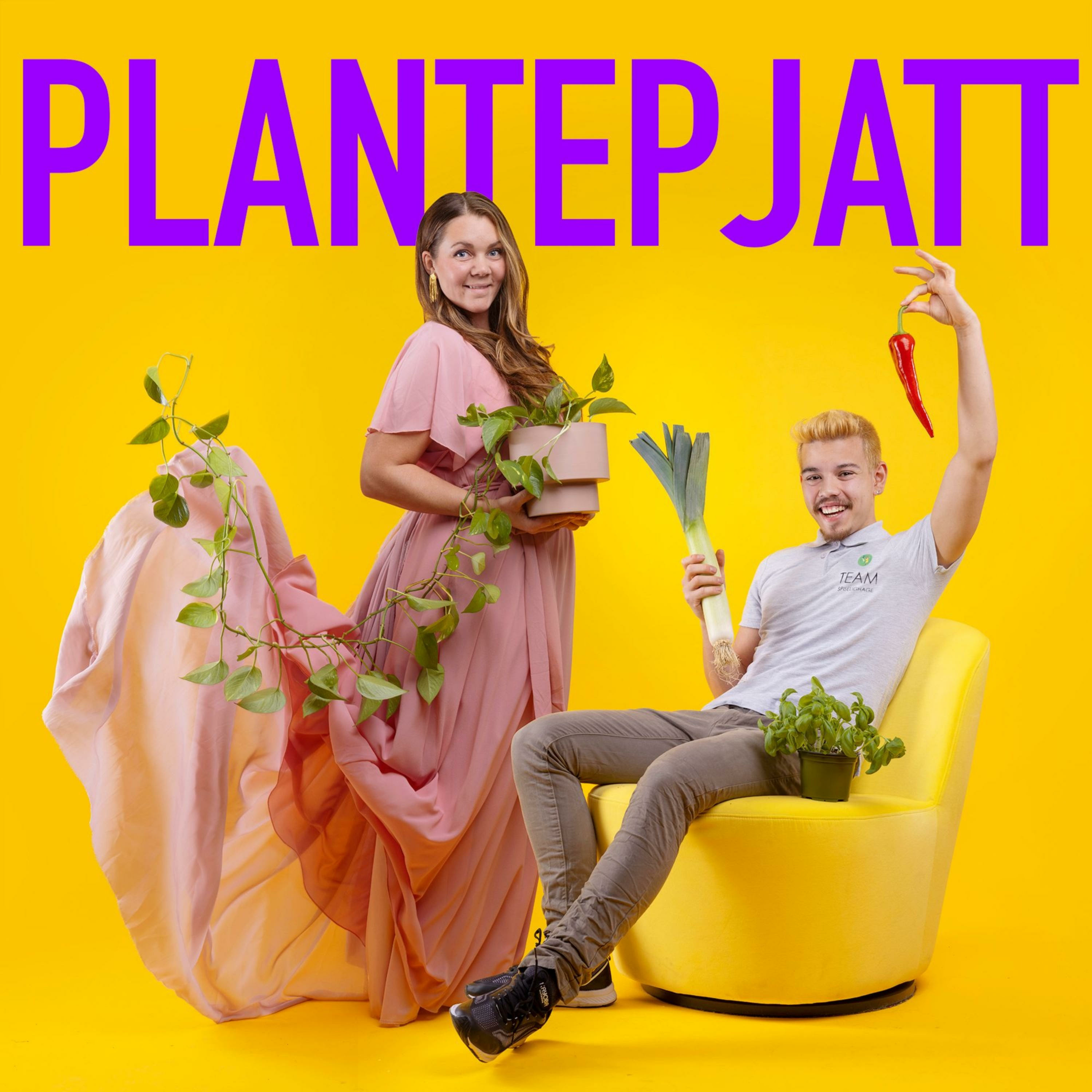 PlantePjatt Podcast: #6 Q/A med Dennis PlantePjatt episode image