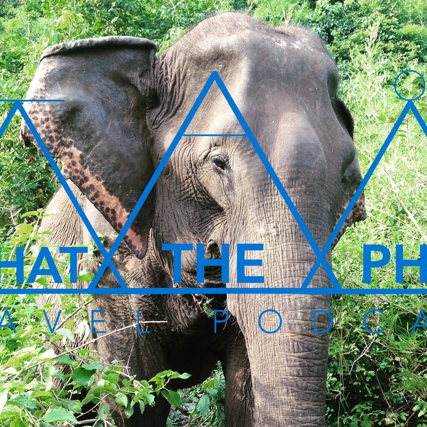S1 Ep5: How to Teach English in Thailand with Teacher Becky Thomson