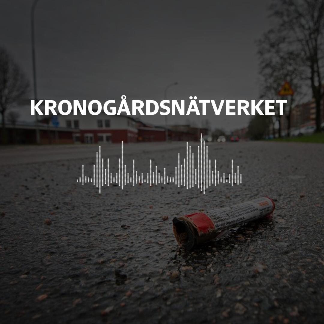 Kronogårdsnätverket