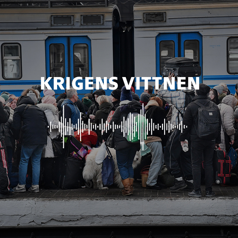 Krigens vittnen