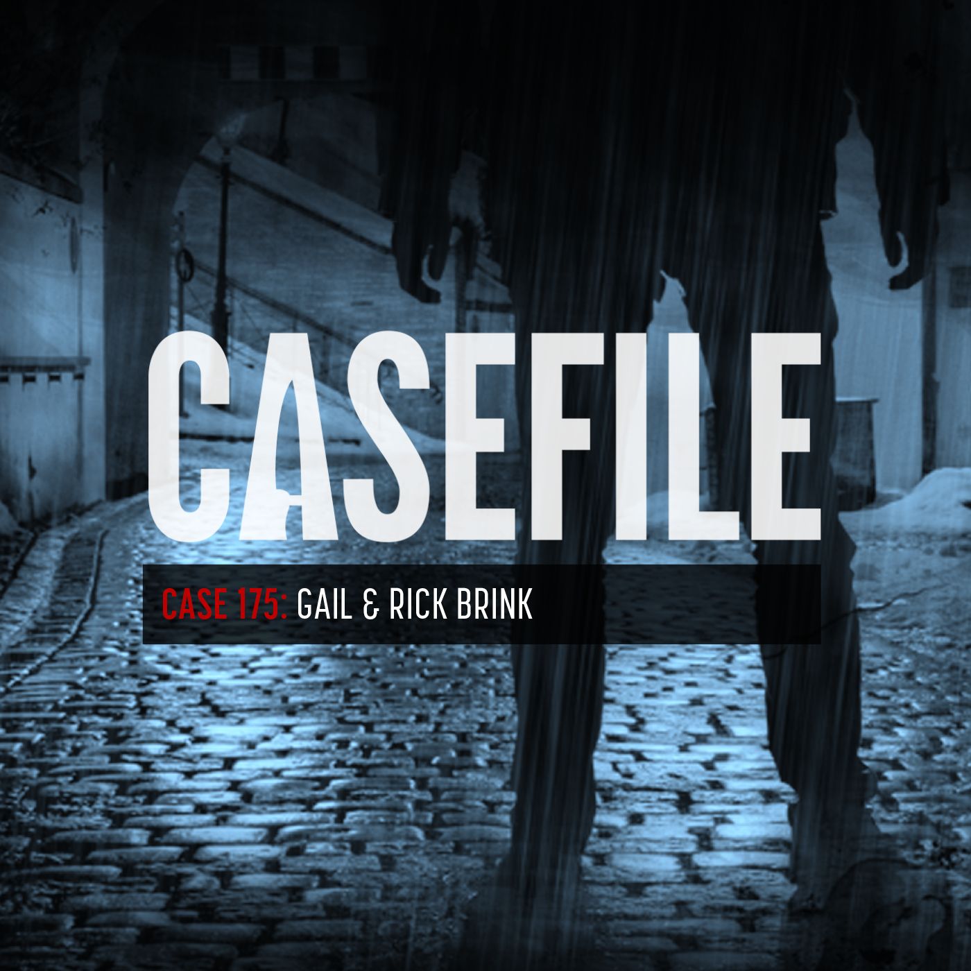 Case 175: Gail & Rick Brink