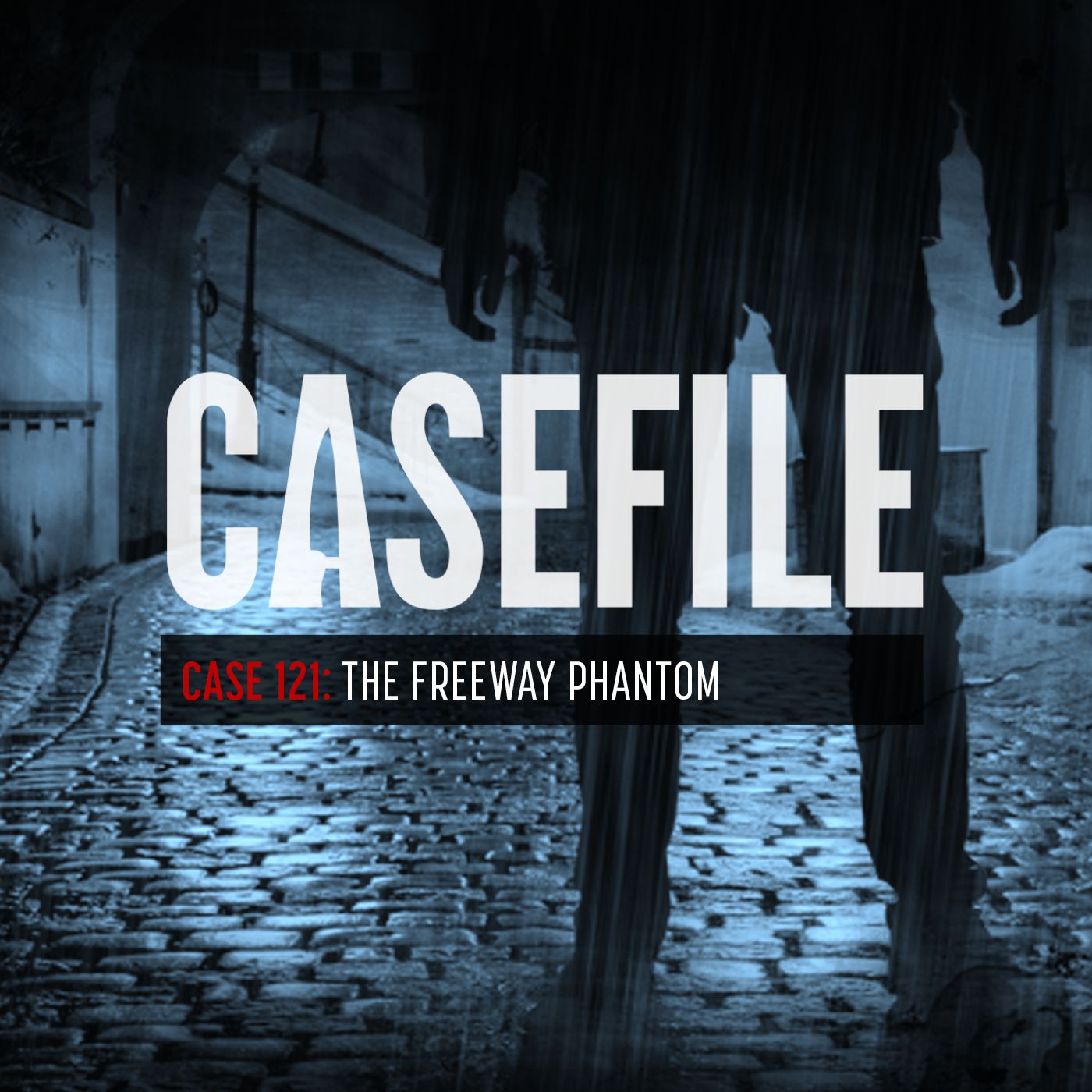 Case 121: The Freeway Phantom