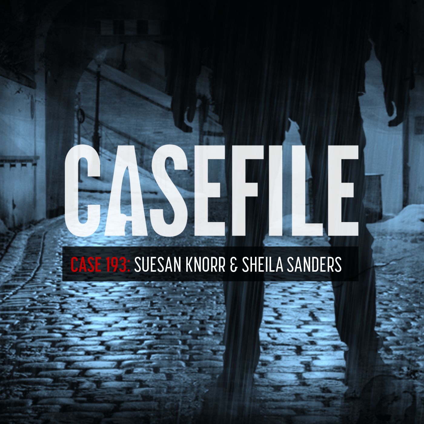 Case 193: Suesan Knorr & Sheila Sanders