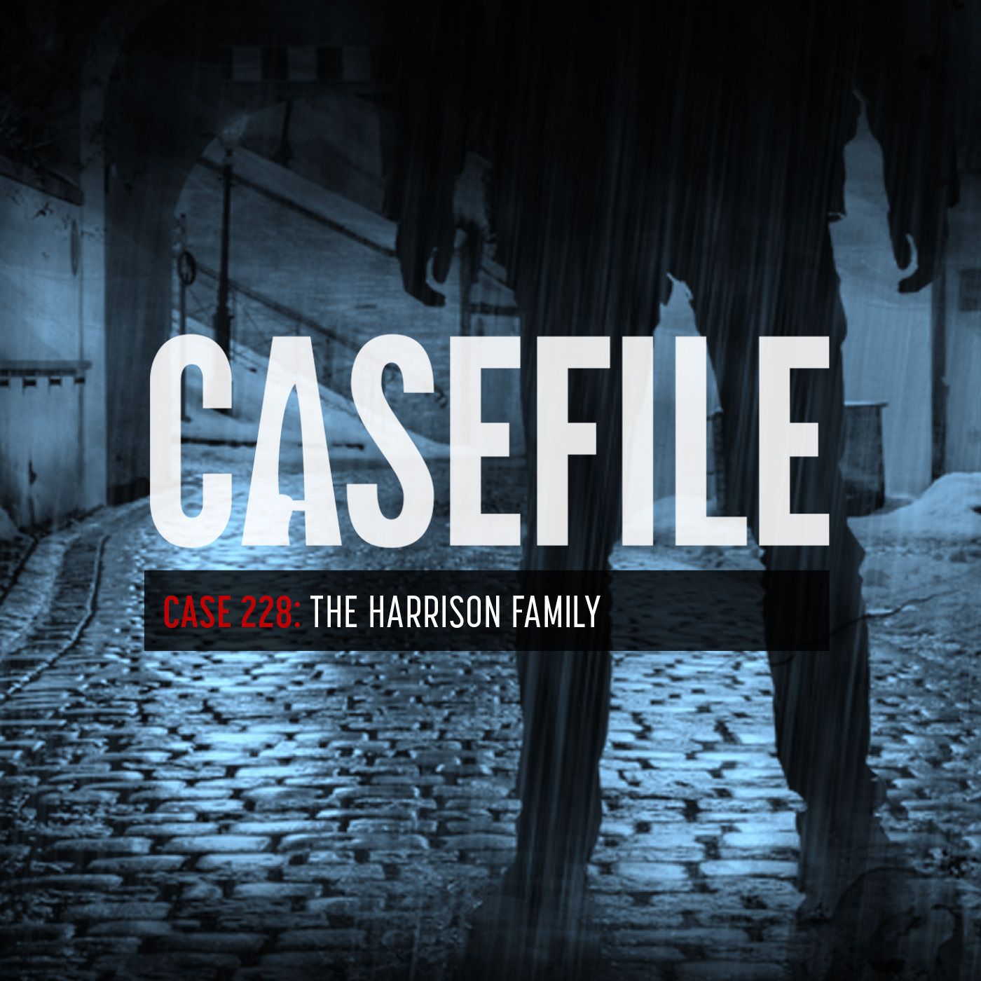 Case 228: The Harrison Family