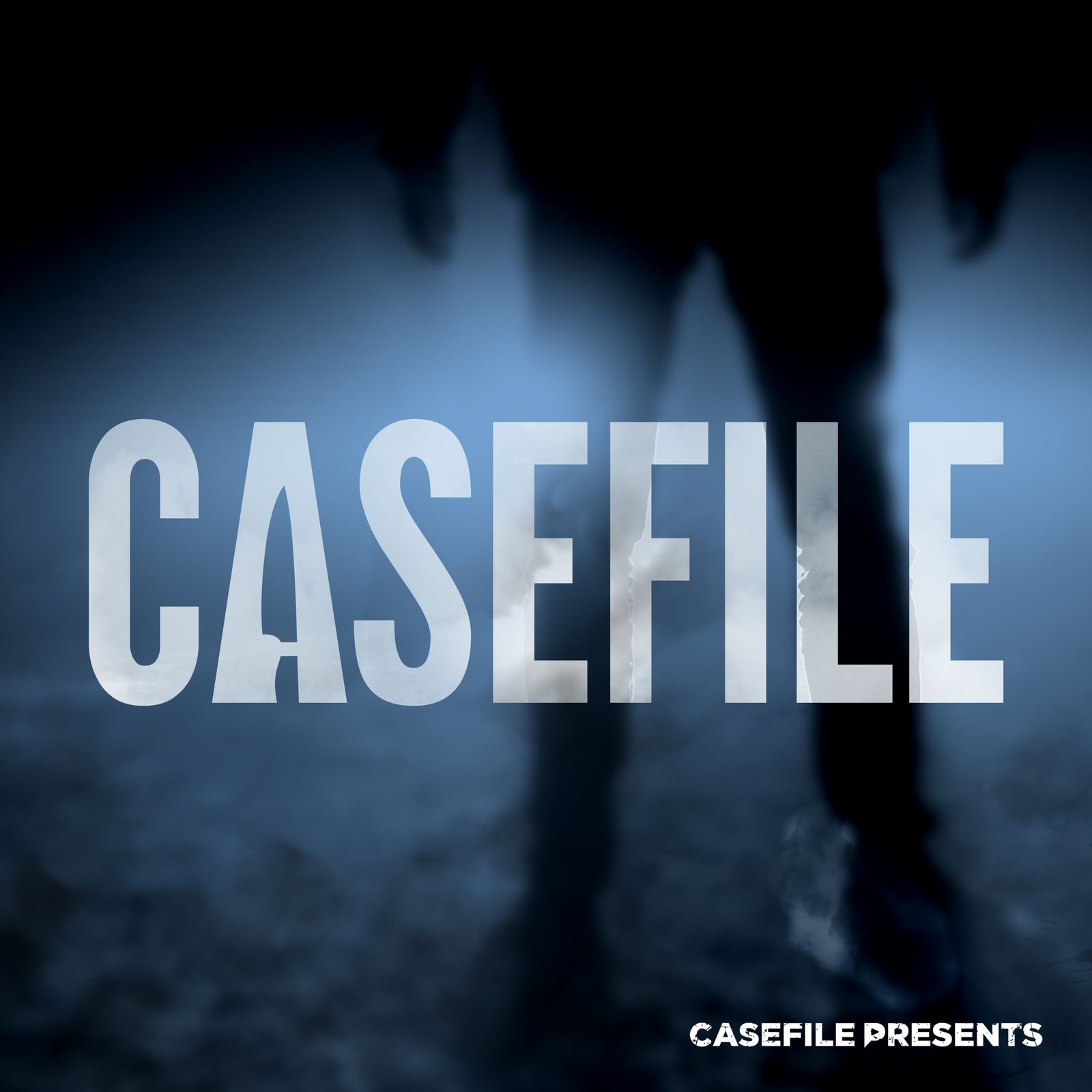 Casefile True Crime Artwork