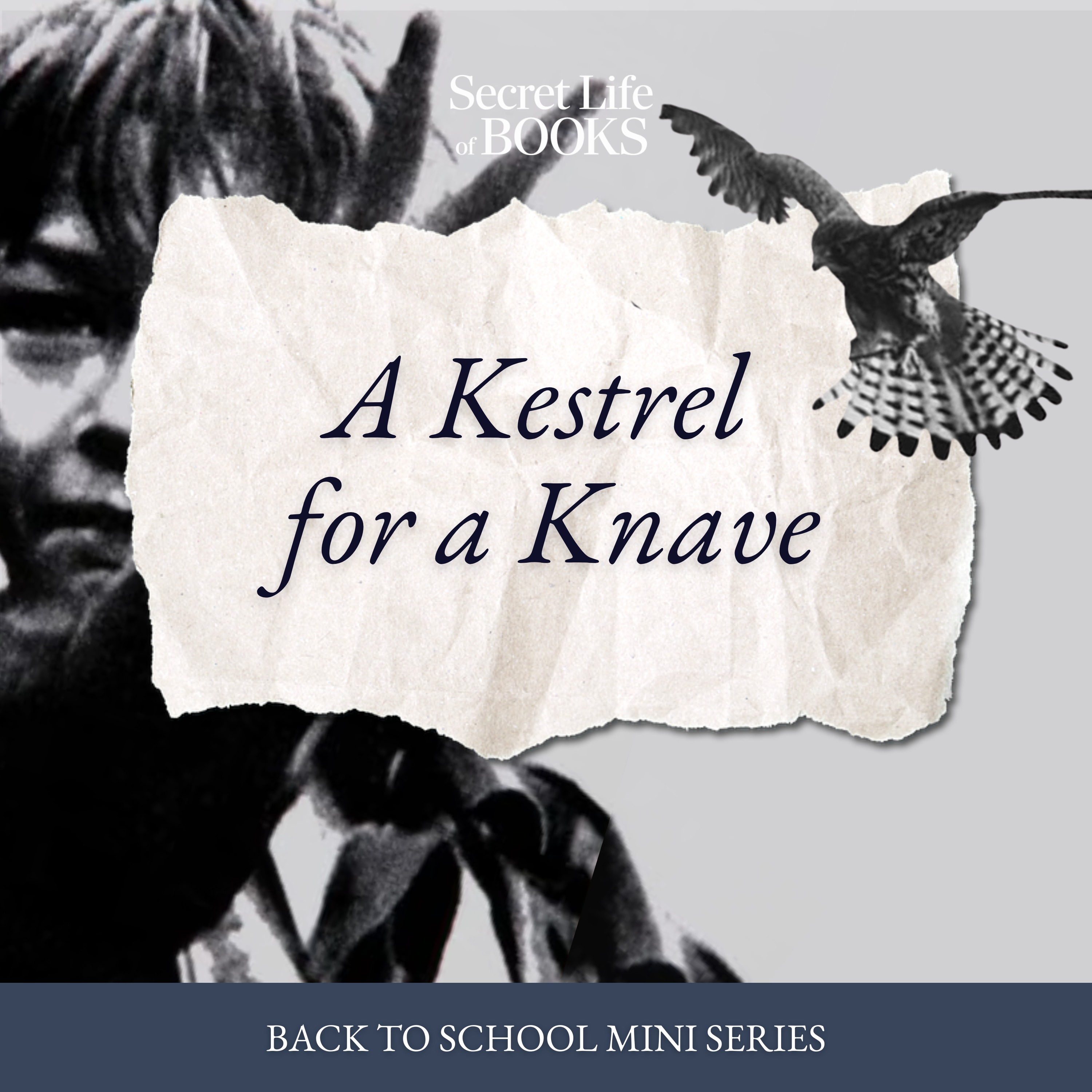 Back to School 3: A Kestrel for a Knave by Barry Hines