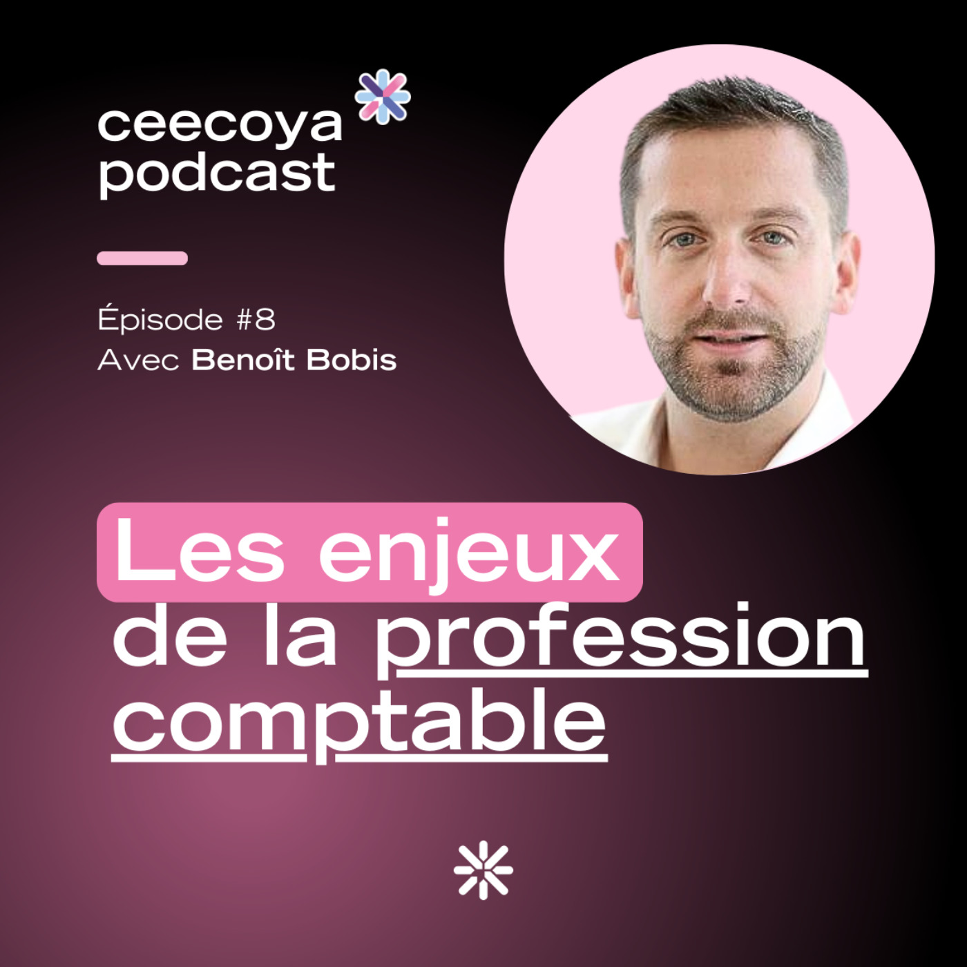 %238 – Les enjeux de la profession comptable | Benoît Bobis, élu au CROECNA