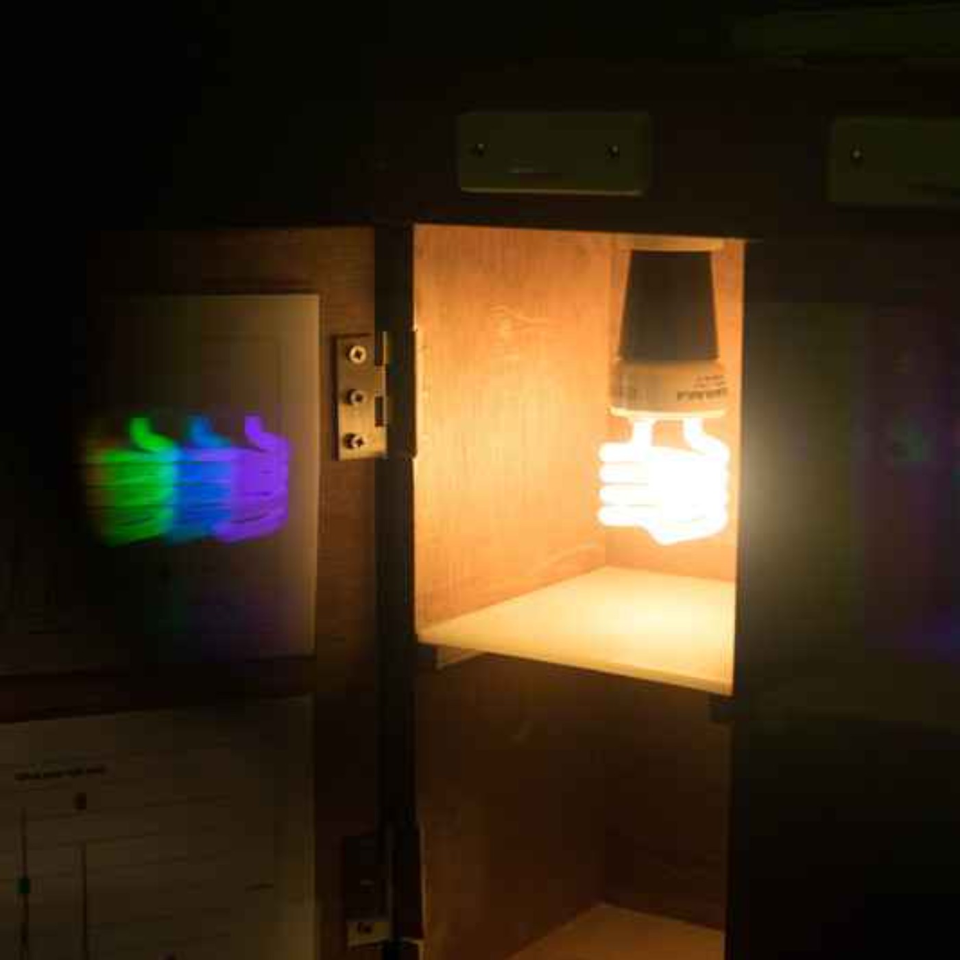 Photobiology? Eh Aye!