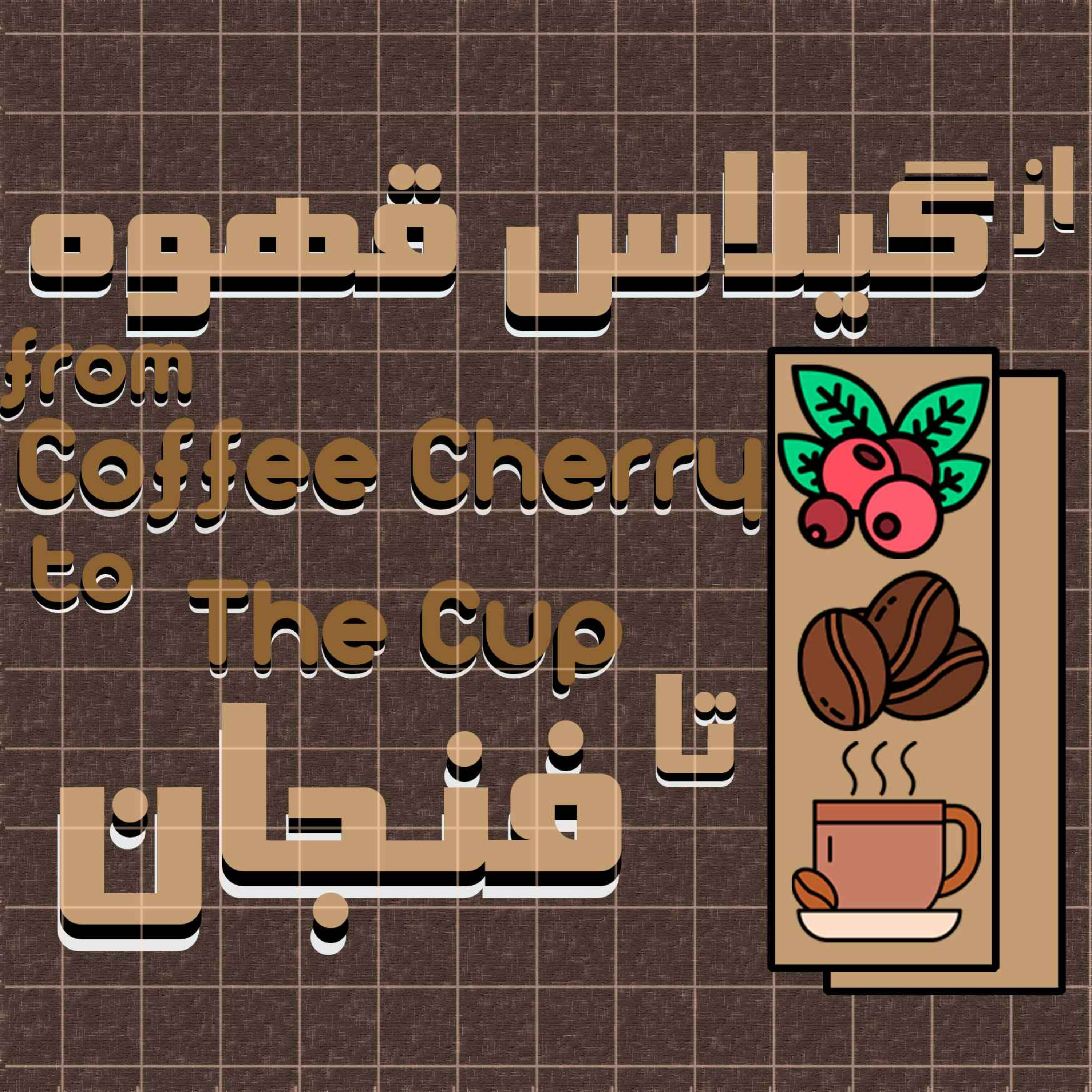 از گیلاس قهوه تا فنجان