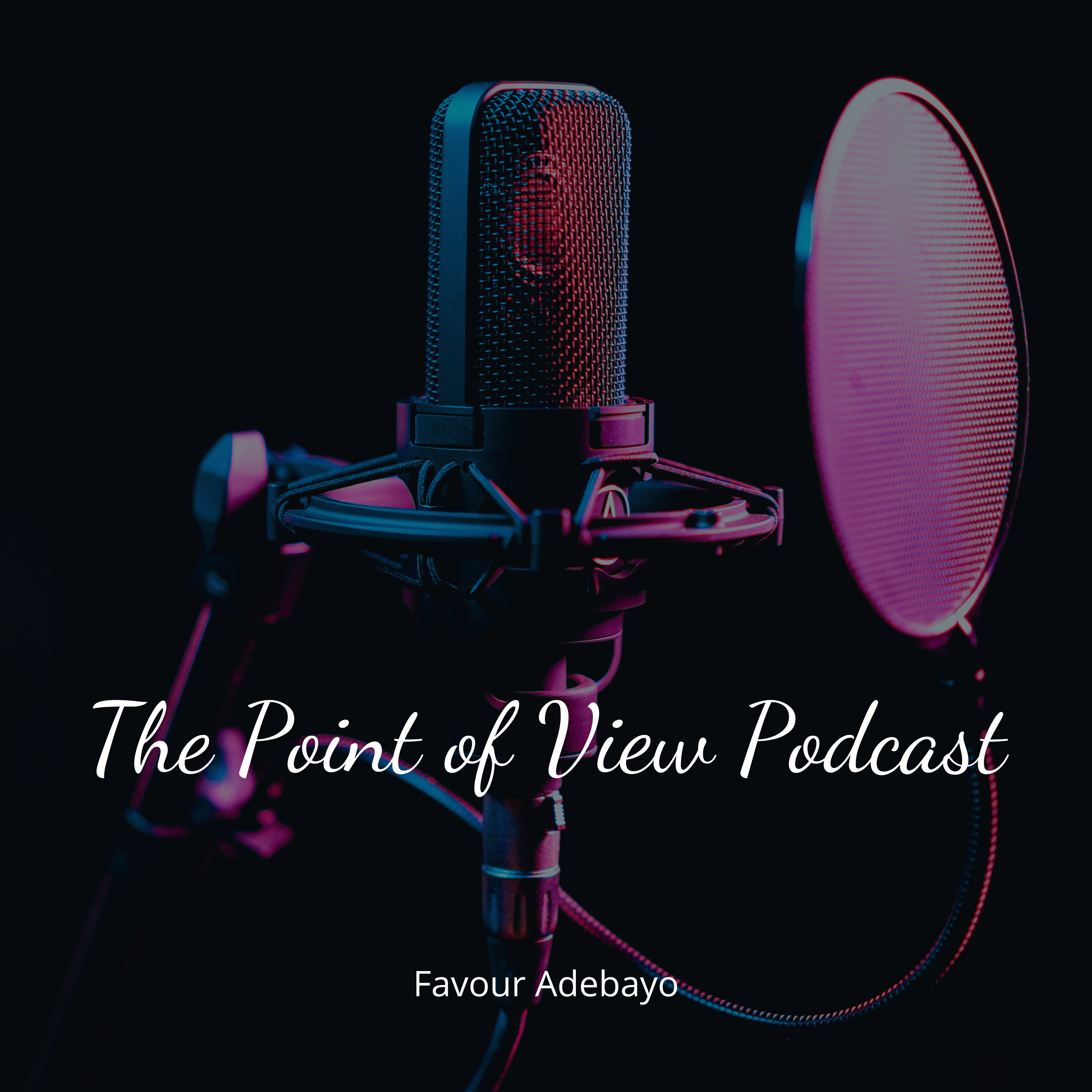The Point of View Podcast podcast artwork