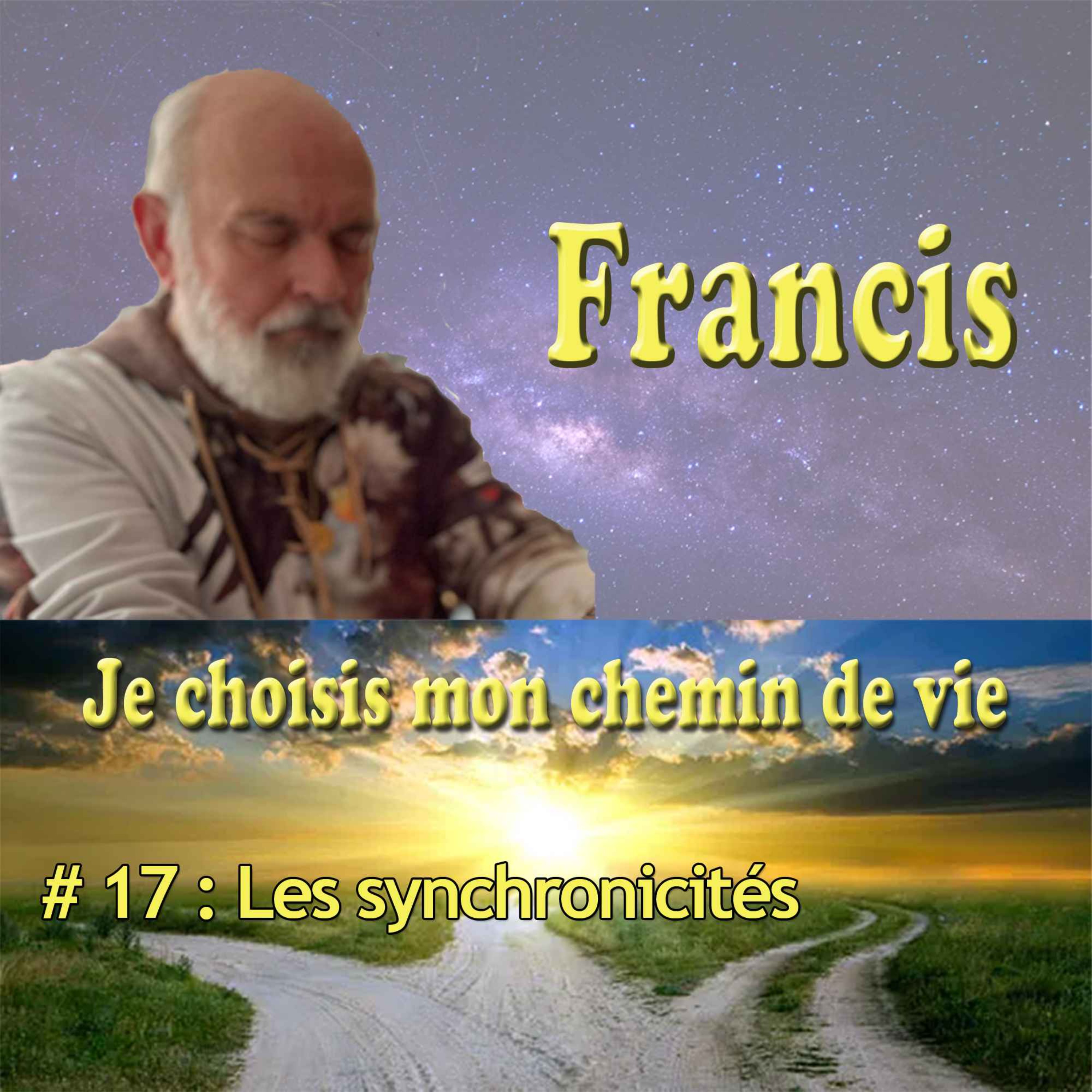 Les synchronicités episode artwork
