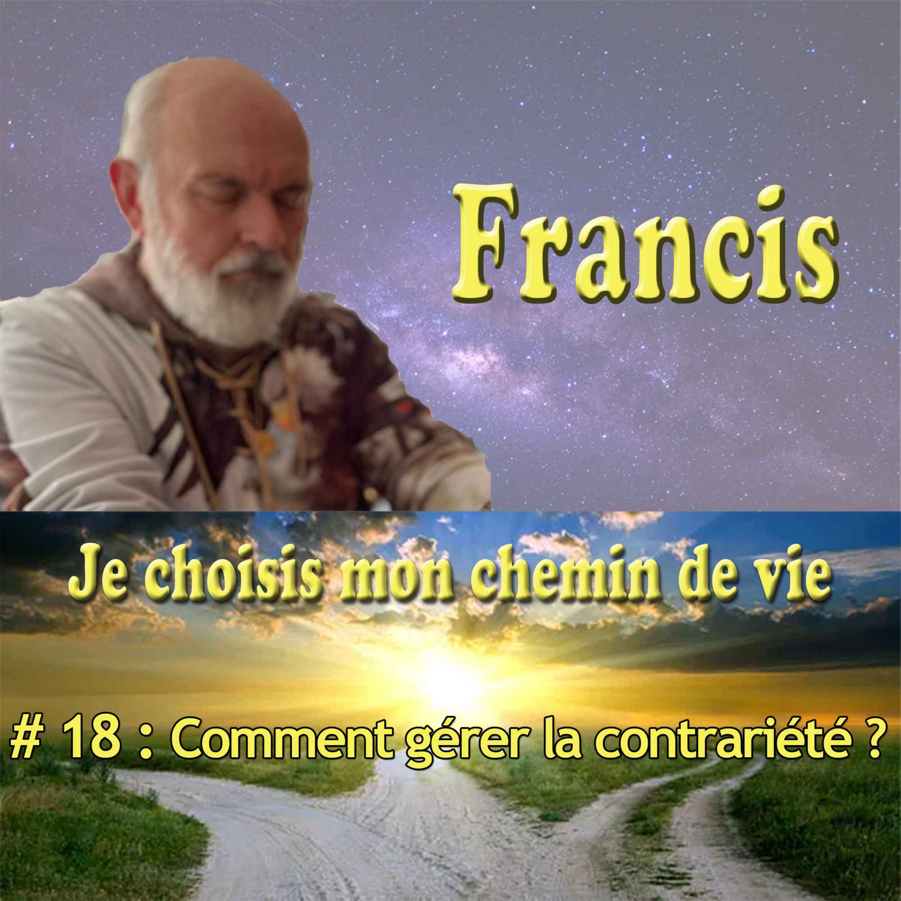 Comment gérer la contrariété ? episode artwork