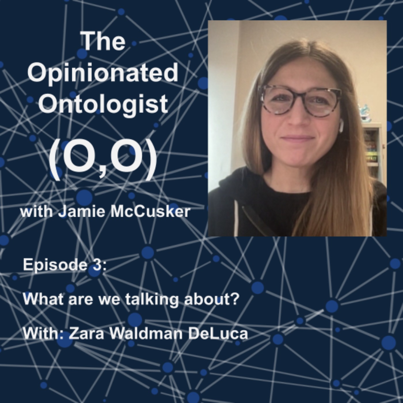 The Opinionated Ontologist