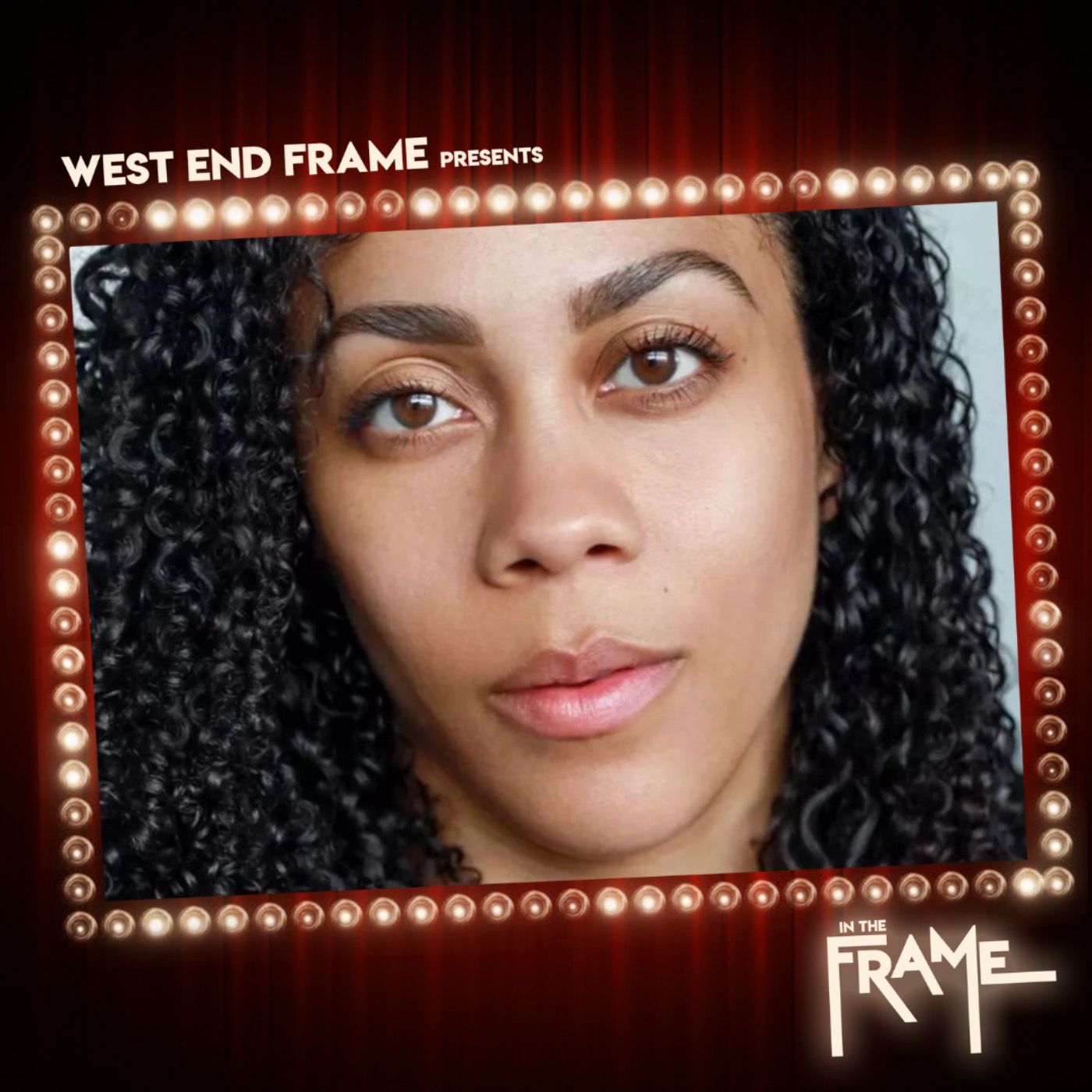 In The Frame: Theatre Interviews from West End Frame