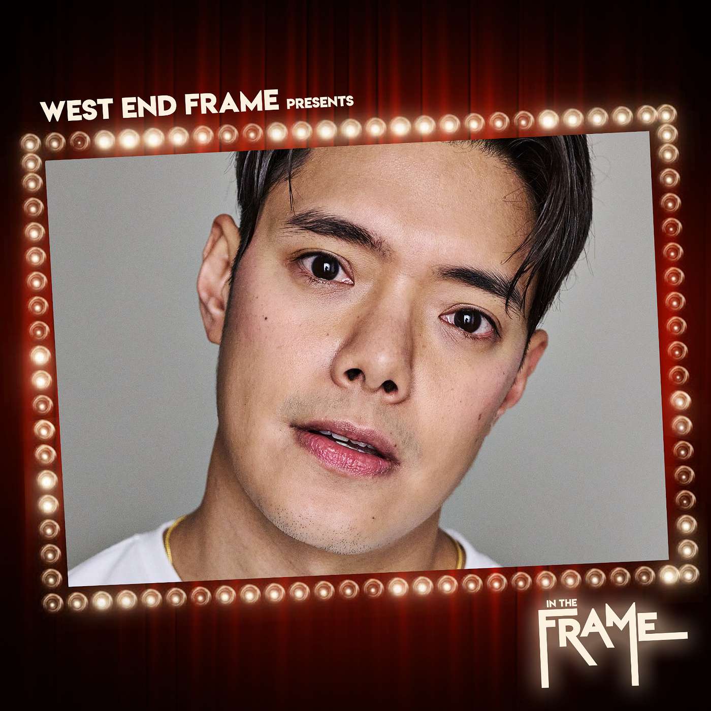In The Frame: Theatre Interviews from West End Frame