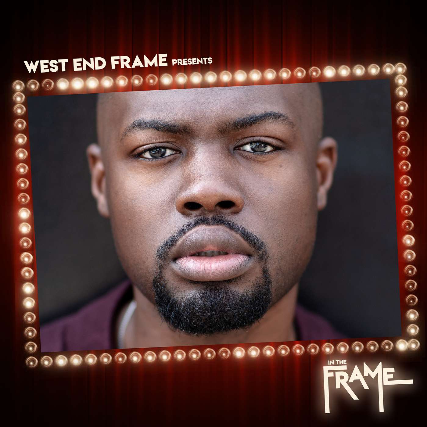 In The Frame: Theatre Interviews from West End Frame