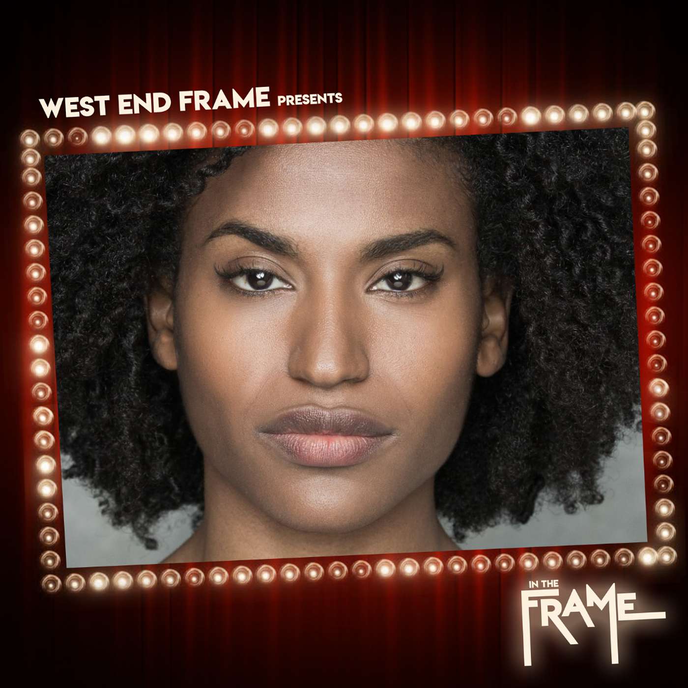 In The Frame: Theatre Interviews from West End Frame