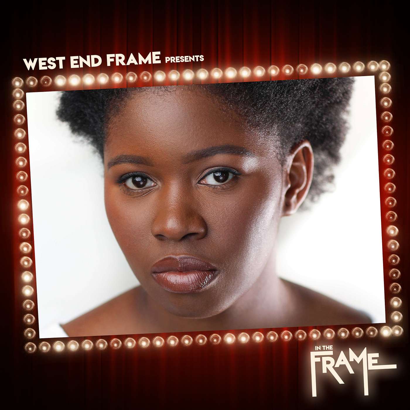 In The Frame: Theatre Interviews from West End Frame