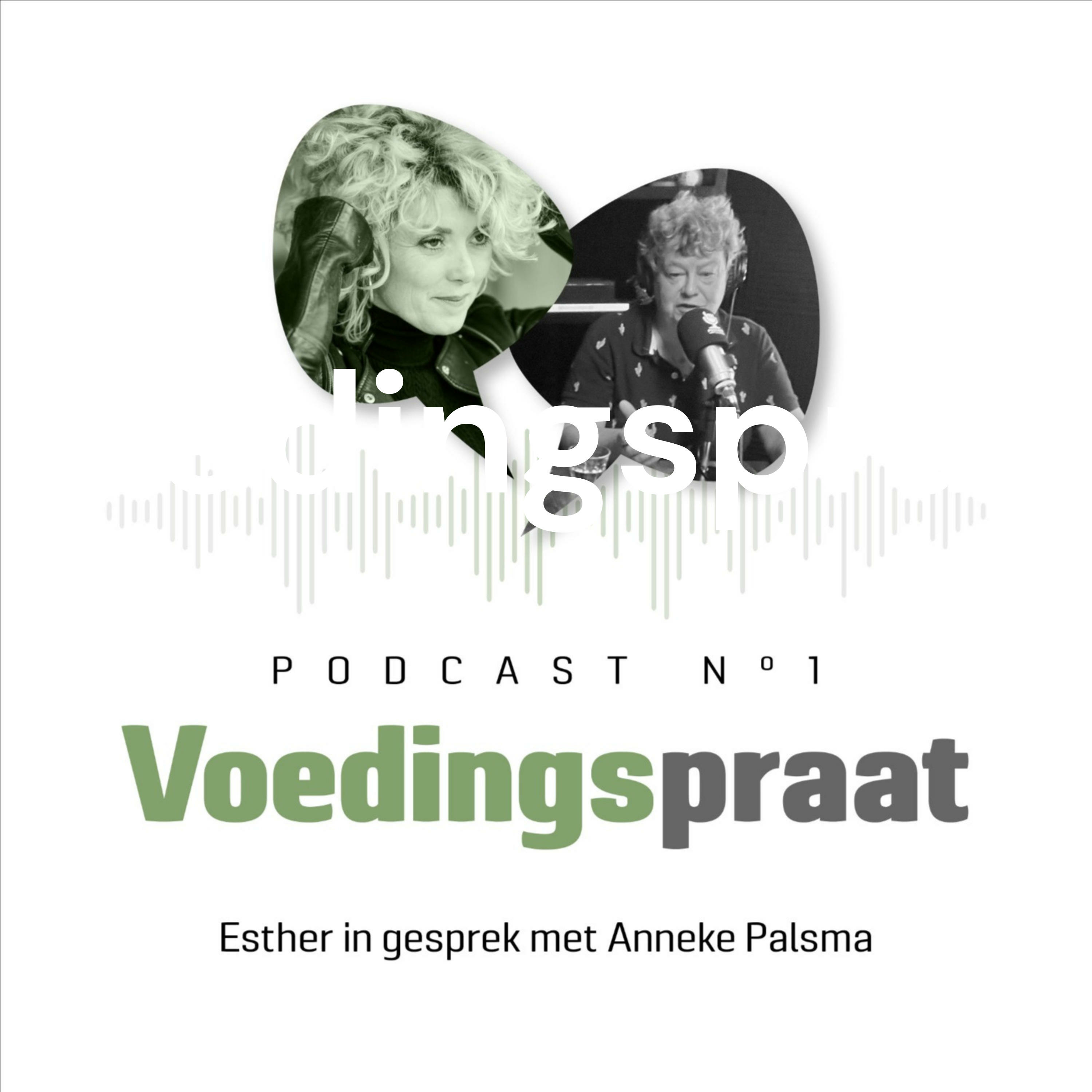 Voedingspraat