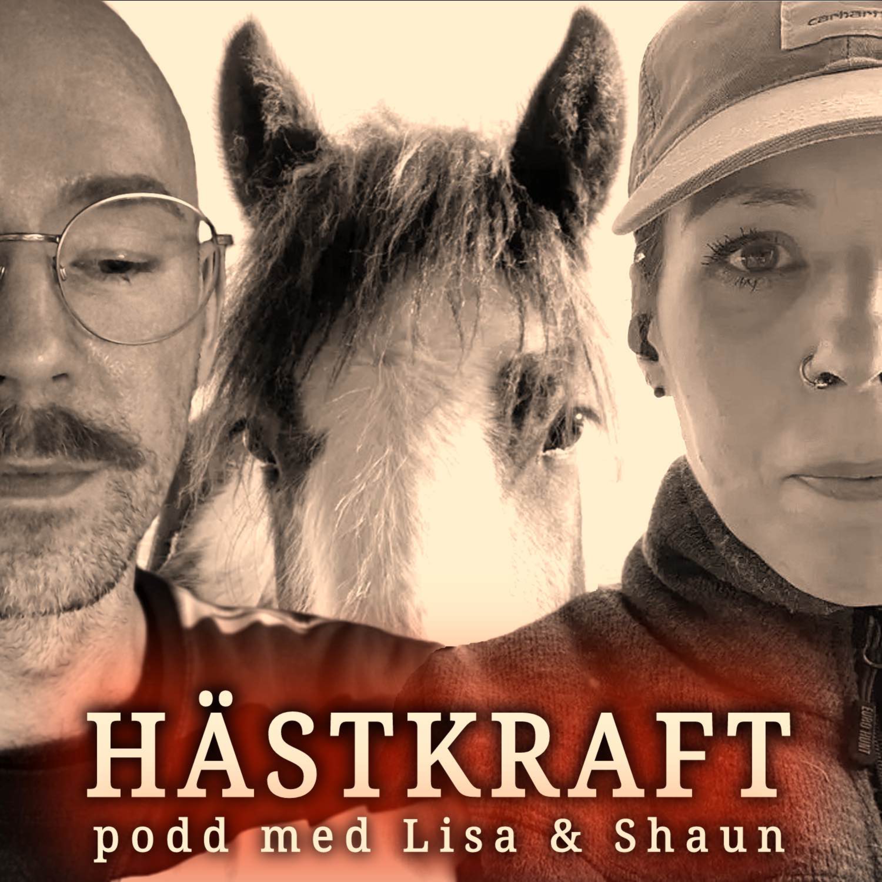 Hästkraft