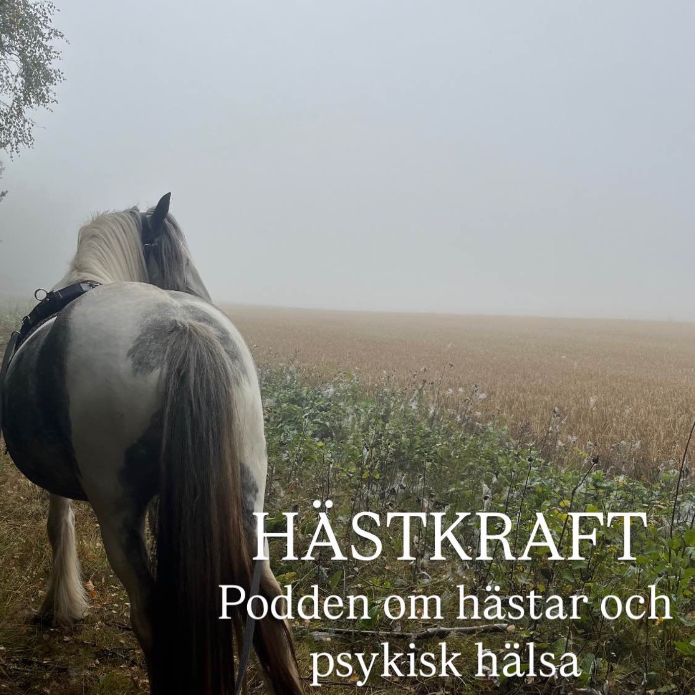 Hästkraft podcast artwork