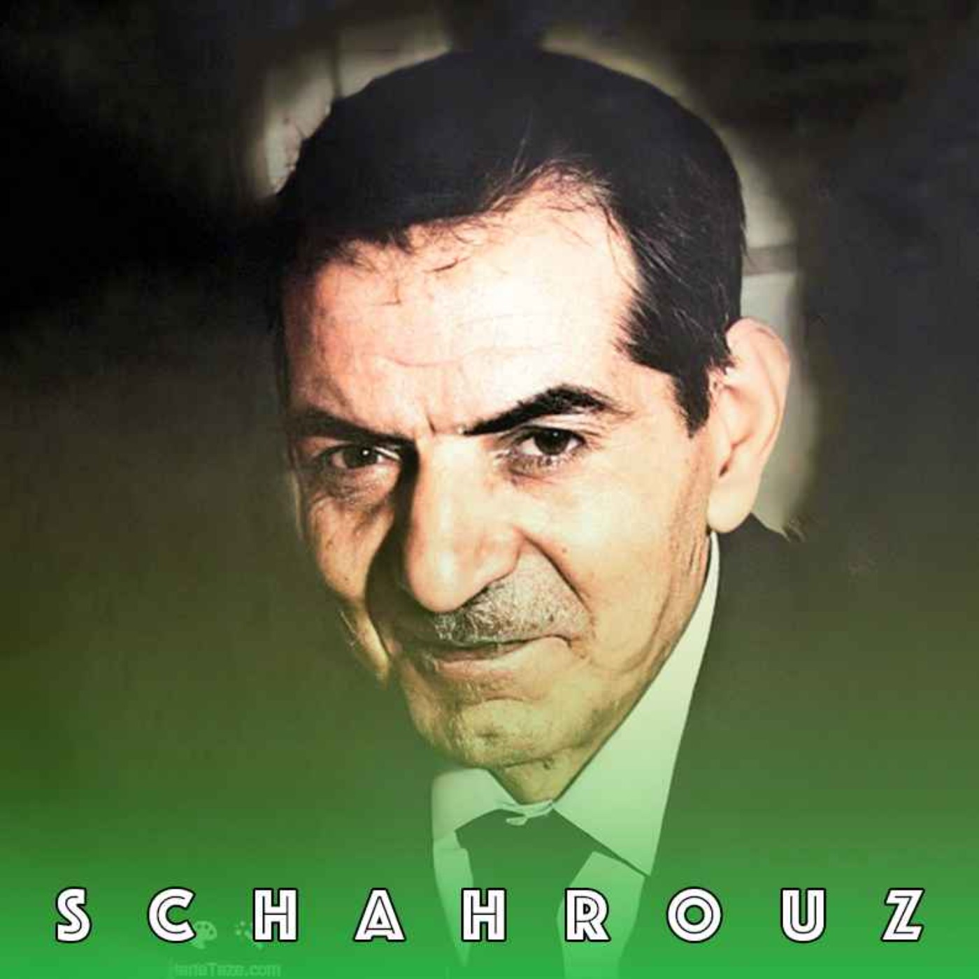 شهریار | ای صبا با تو چه گفتند که خاموش شدی
