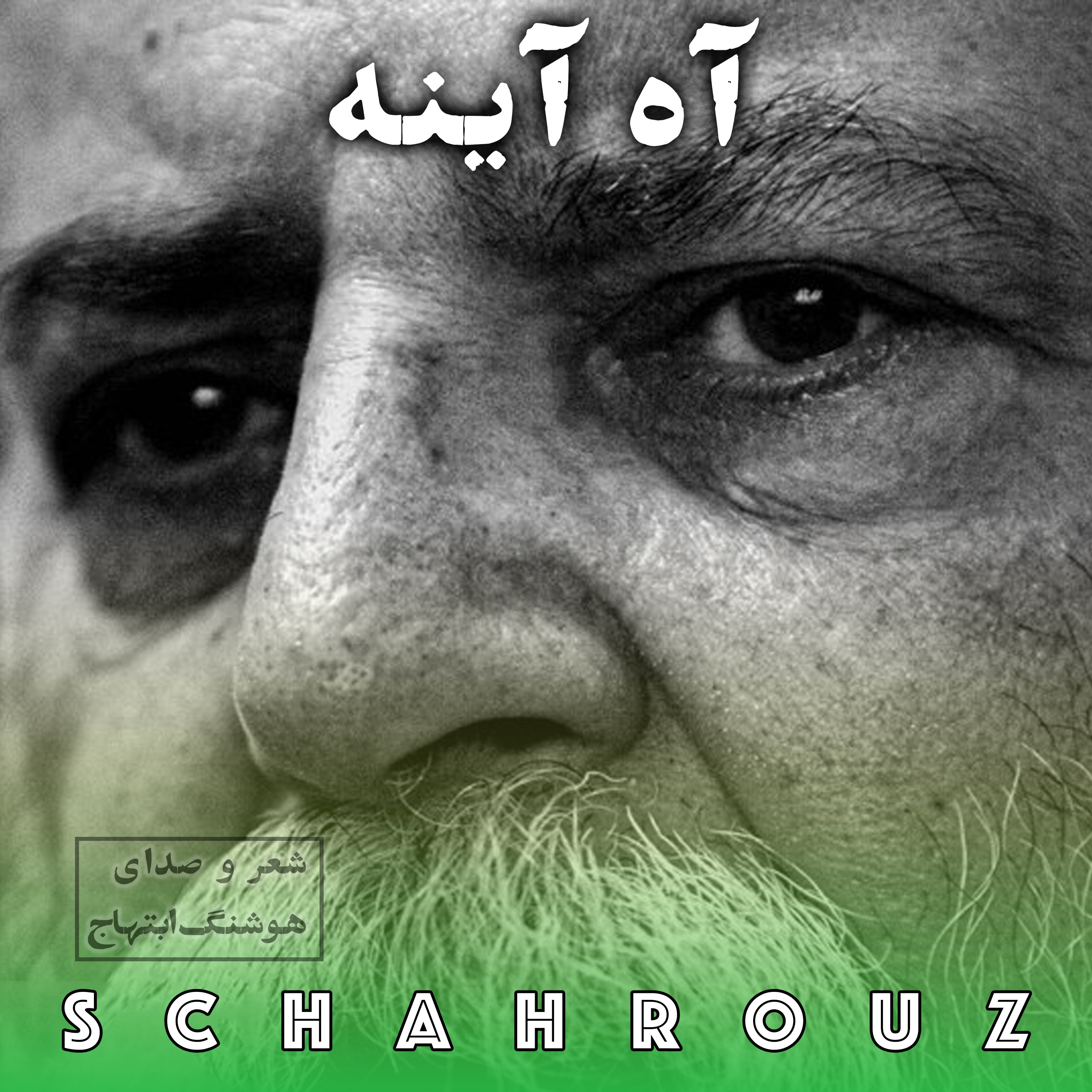هوشنگ ابتهاج | آه آینه ( او را ز گیسوان بلندش شناختند)