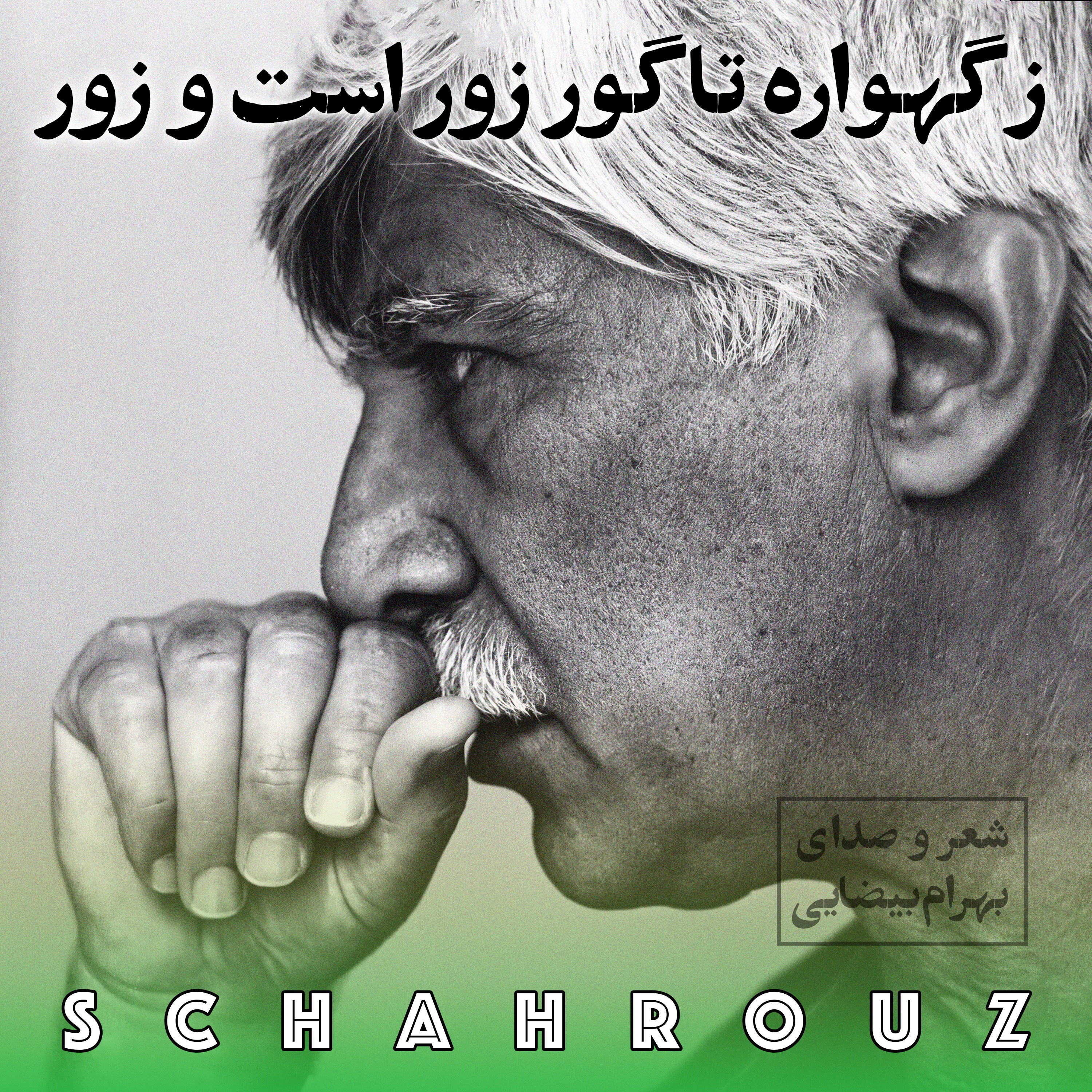 بهرام بیضایی | ز گهواره تا گور زور است و زور