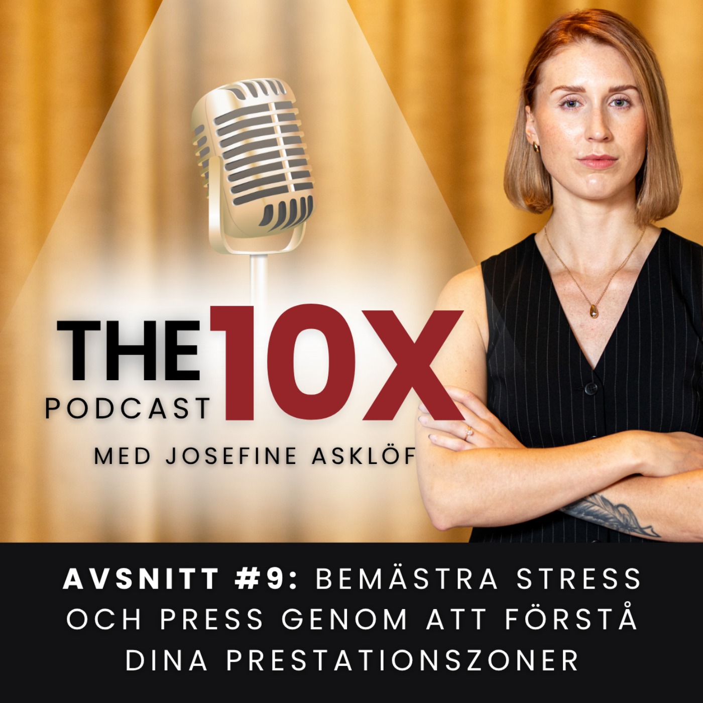 #9 Bemästra stress och press genom att förstå dina prestationszoner episode artwork