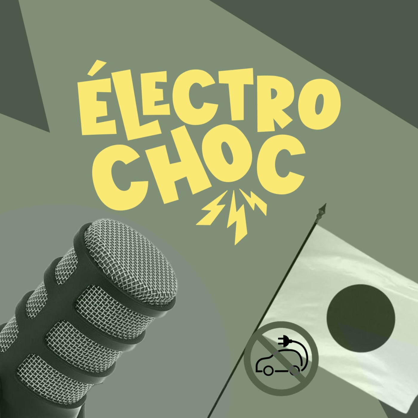 Quel problème a le Japon avec la voiture électrique ?