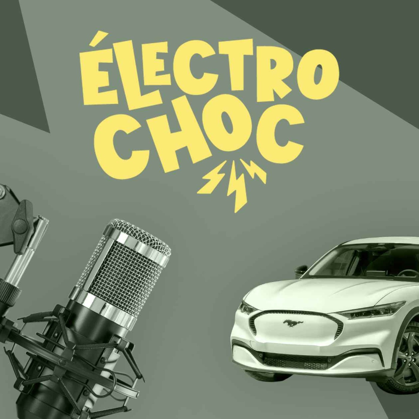 Voitures électriques : voici les modèles qui se sont totalement plantés en France en 2025