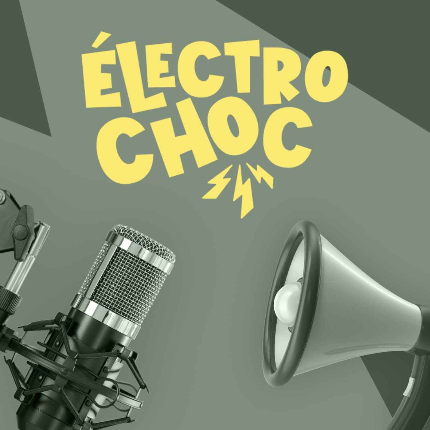 Faut-il interdire les faux bruits des voitures électriques ?