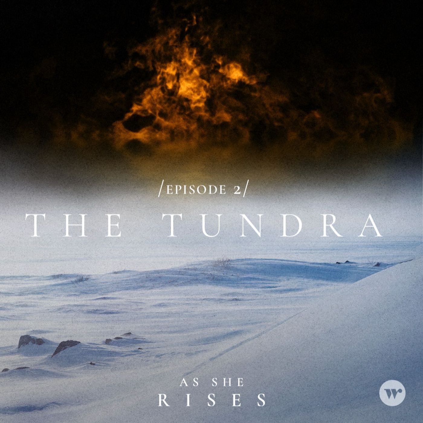 The Tundra